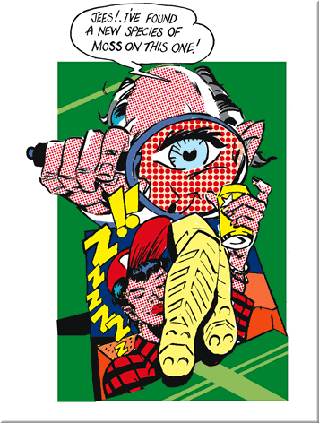 Click To Return To Thumnail Gallery